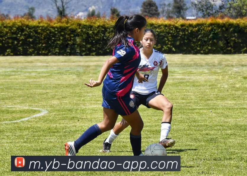 半岛体育发展历程