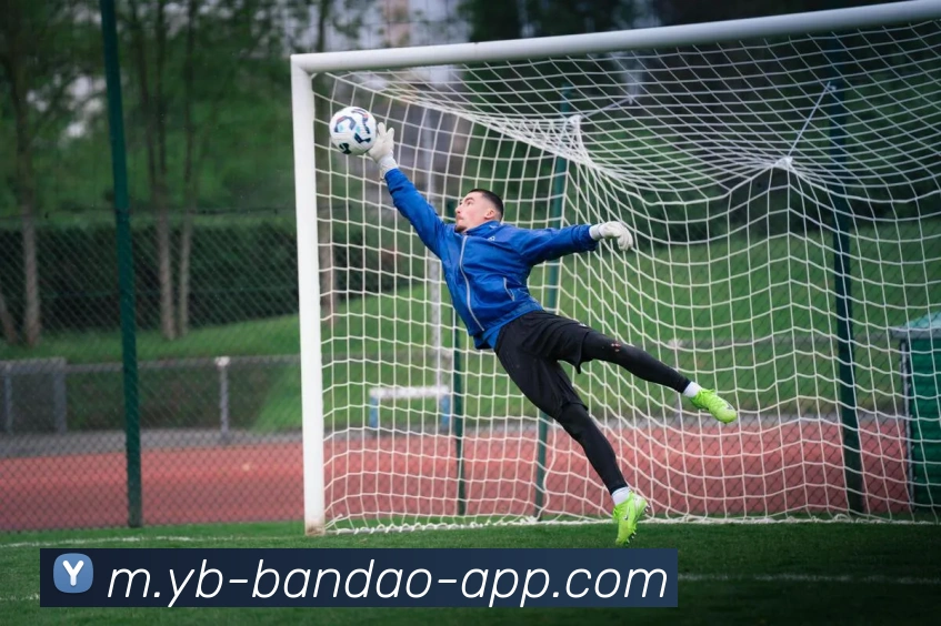 键盘侠与狼蜜为库里鸣不平卧龙凤雏称史上最差判罚与不挑战的争议